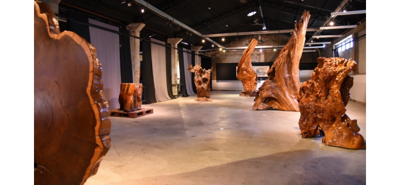 【台灣奇木特展】